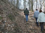 Hinter der Wirtschaft am Holzberg
