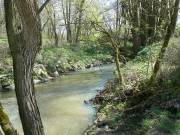 Der Haselbach