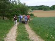 Teilwandergruppe in der Flur