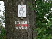 Wir sind am richtigen Weg