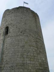 Stolz weht die Fahne