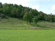 Grüne Trockenhänge