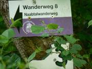 Hier waren wir noch richtig