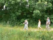 Voran Wanderführer Georg Beer