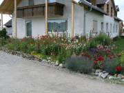 Schöner Blumengarten