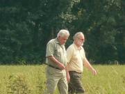 Und die Schlußlichter