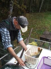 Vorsichtig beim Wiegen