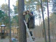 Reinigen der Nistkästen