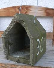 Die demolierte Vogelwohnung