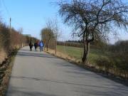 Entlang an Vogelschutzhecken