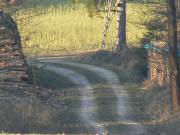 Bild rechts ab von der Wanderroute