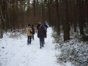 Am Pfaffensteig entlang