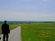 Weg umsäumt vom Sattem Grün