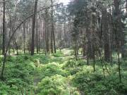 Ist das noch ein Weg?