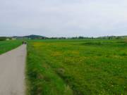 Ziel schon in Sichtweite