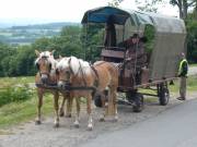 ....auch für die Pferde!