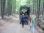 Durch den Buchenwald