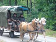 ...aber auch die Kutscher!