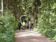 Weiter durch die Vegetation