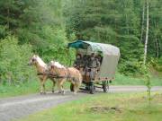 Kutsche kommt donnernd den Berg herauf