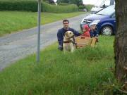 Kutsche mit einer Hundestärke