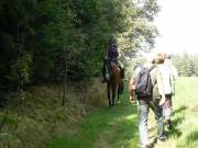 Vorsicht Gegenverkehr!