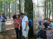 Vorstand beim BaumdrÃ¼cken