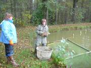 Ab in die WÃ¤sserung