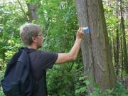 Wanderzeichen wird erneuert