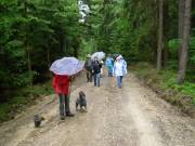 Gewitter, Matsch und Schlamm - aber schÃ¶Ã¶n