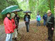 Kleine Pause im Gewitterregen