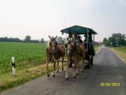 44 Unterwegs nach Pfreimd