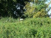 Hier mÃ¼ssen wir durch