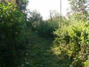 Breite SchneiÃŸe gemÃ¤ht