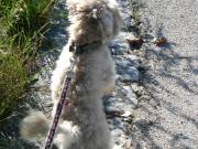 Tommy ist auch dabei