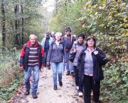 Die Wanderer umrunden Weißenohe und Dorfhaus