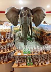 01 Der Elefant begrüßte uns in der Confiserie Seidl in Laaber