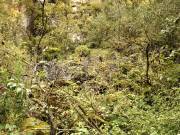 11 Ursprüngliche Landschaft im Laabertal