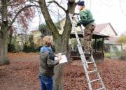 01 Dominik Götz unterstüzt Siegfried Meißner bei der Fledermauskastenreinigung