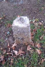 02 Alter Inhalt des Nistkastens