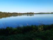 02 Naturimpression im Weihergebiet zwischen Nerping und Brunn